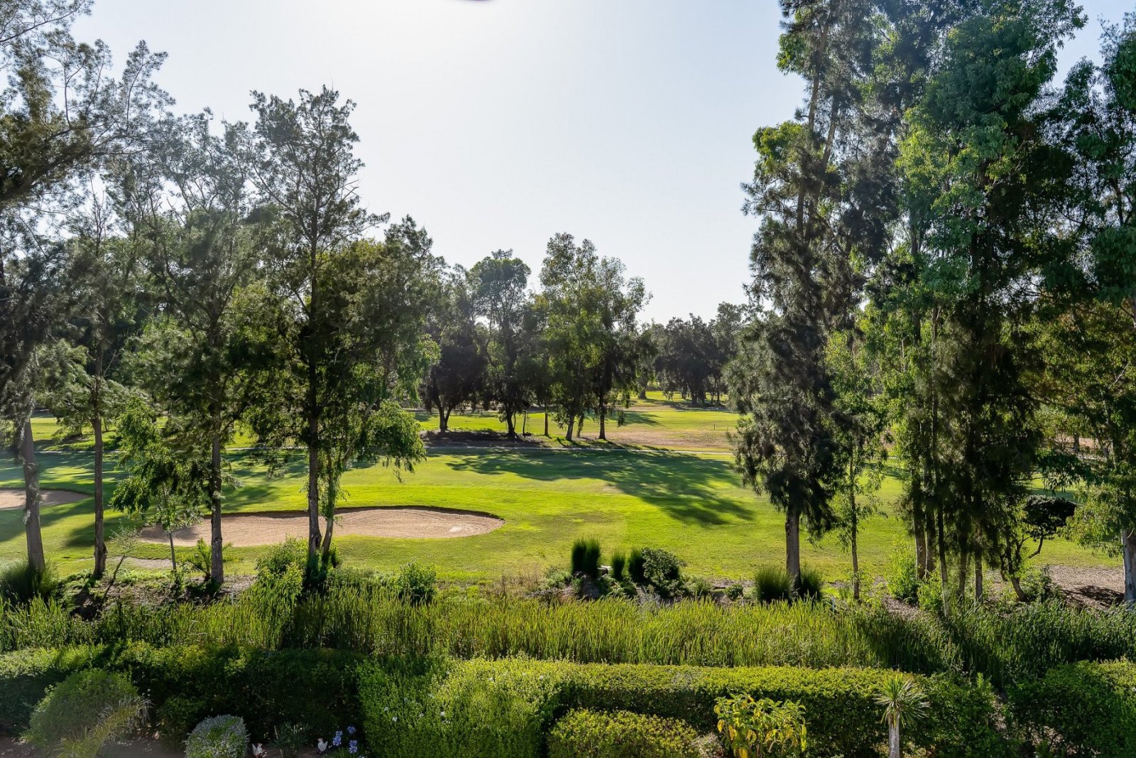 Villa Penina à Alvor — photo 4